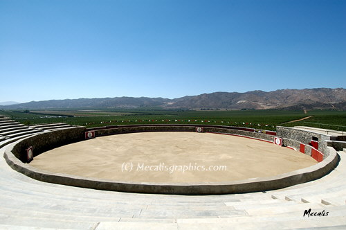 Valle de Guadalupe 1