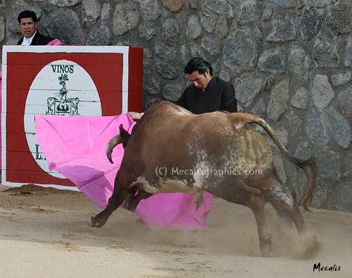 15 Castaneda