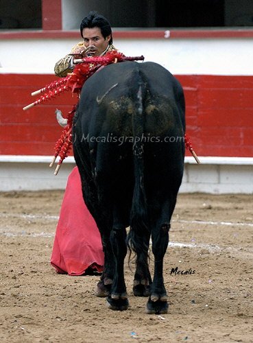 Castaneda 193