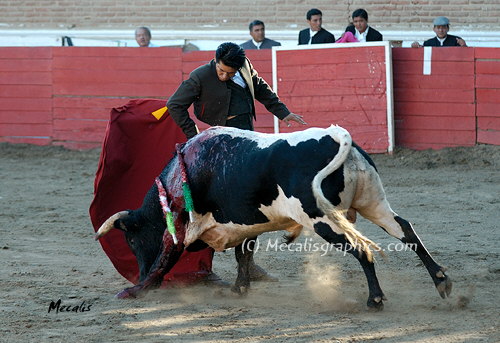 247 El Zapata