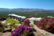 Valle de Guadalupe 2