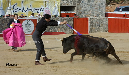 Banderillas