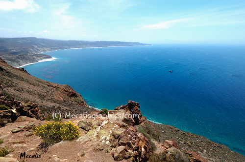 Ensenada View