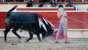 Cavazos 431