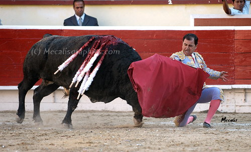 Cavazos 448