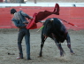472 Gutierrez