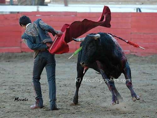 472 Gutierrez