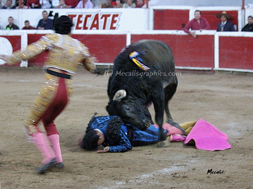 Mexicali 621
