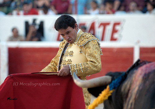 Gutierrez 667