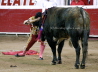 Tellez 689