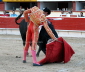 Amaya 696
