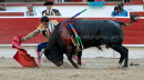 Luevano 735