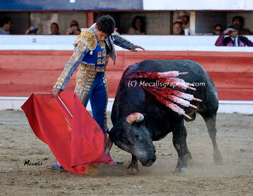 Adame 756