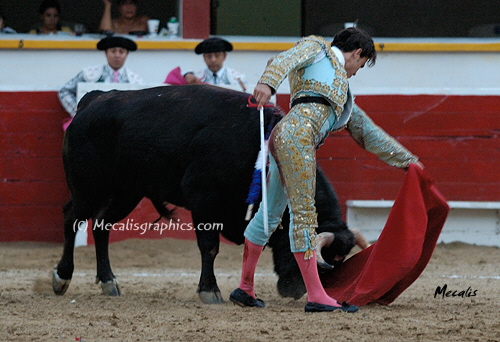 Mauricio 946