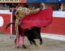 Amaya 658