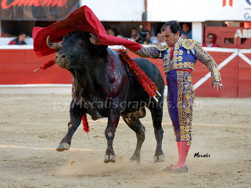 Cavazos 747