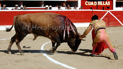 Ortega 288