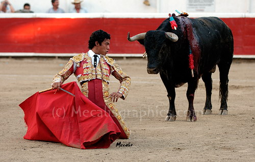 Tellez c428