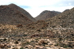 Desert a58